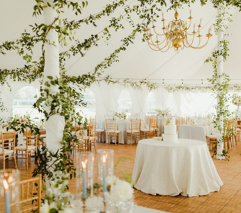 Dexter Wedding DJs - Mid-Michigan Wedding DJ - Sparty DJs